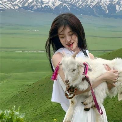 史酷比狗